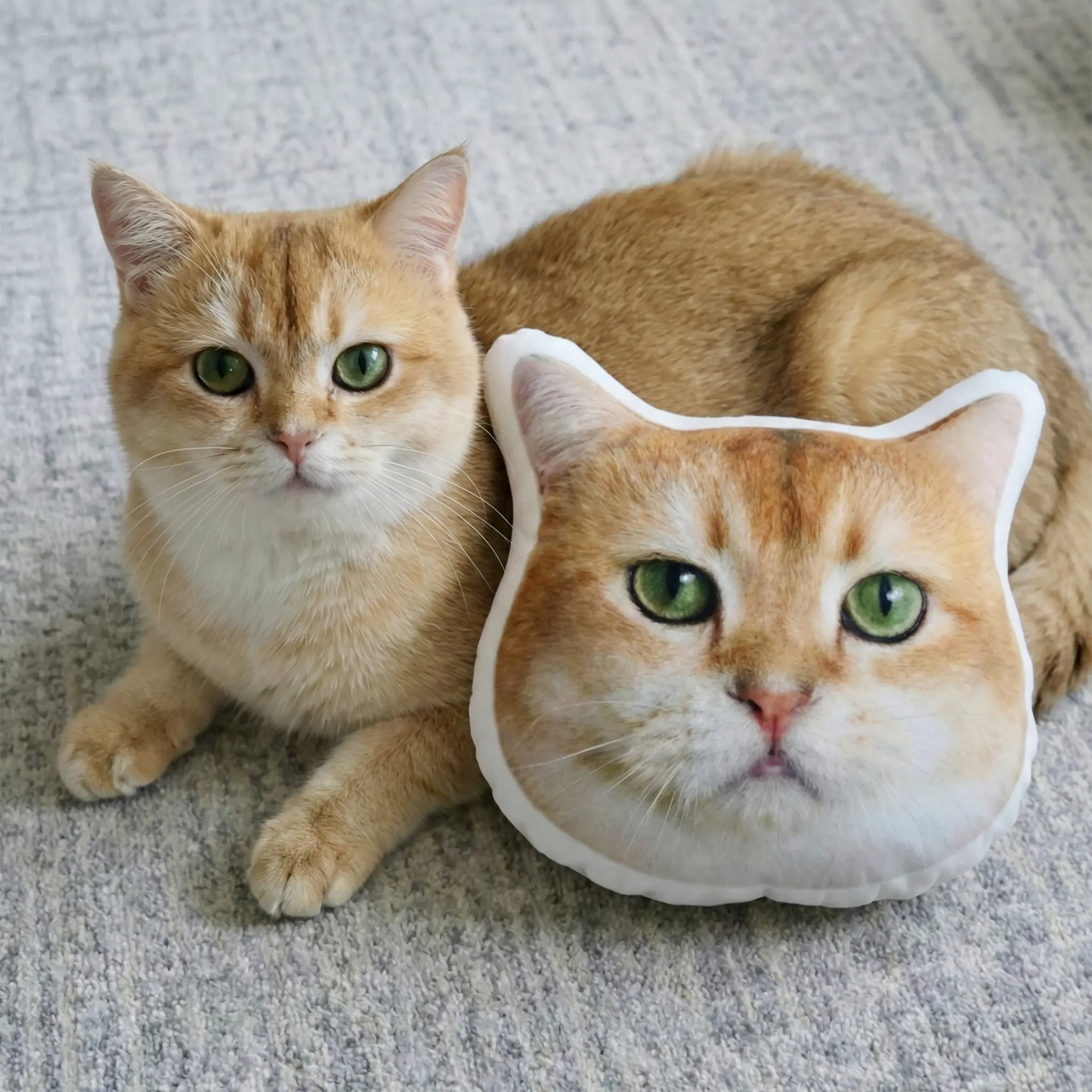 Cat with a cat-shaped pillow on a textured surface