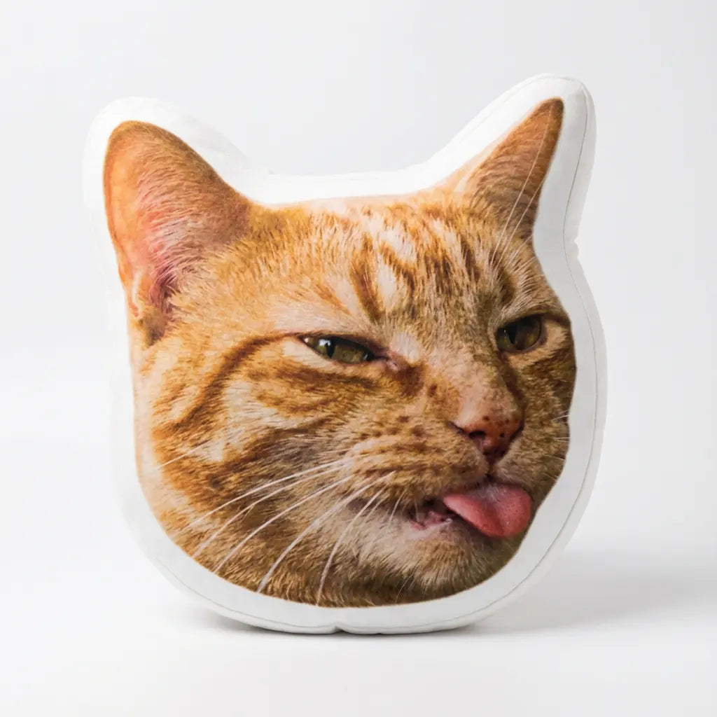 funny cat face pillow