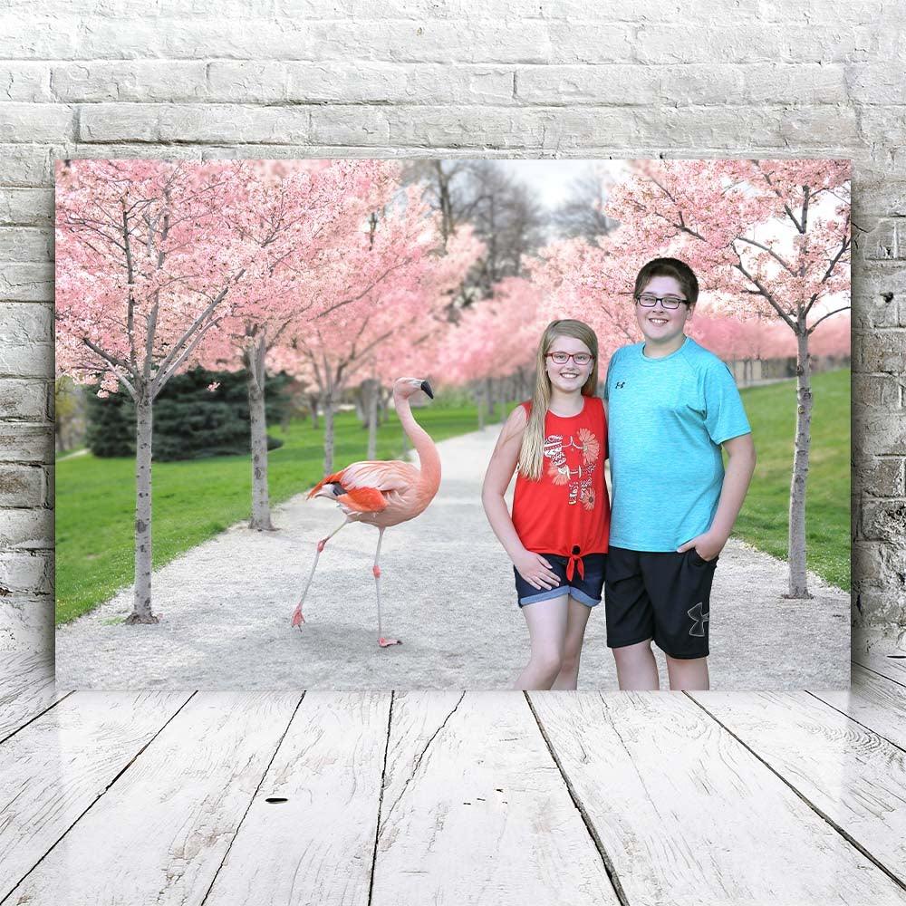 Flamingo Park - Fabulous Portrait