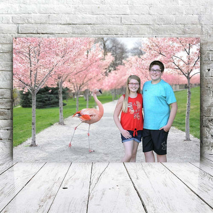 Flamingo Park - Fabulous Portrait