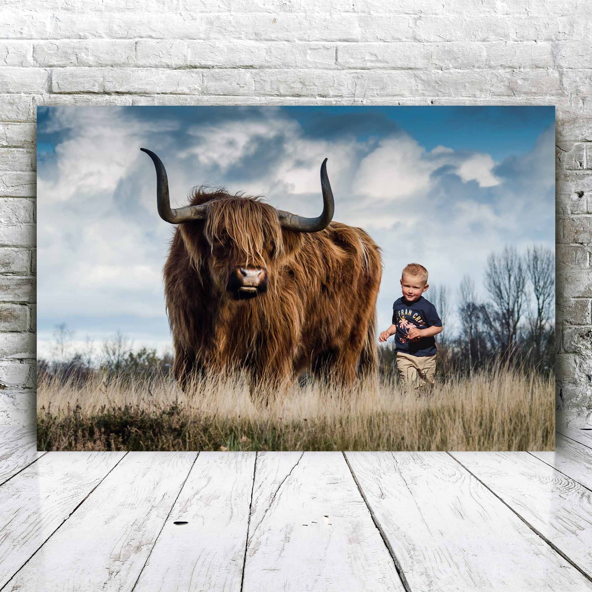 Schotse hooglander - Unieke Foto