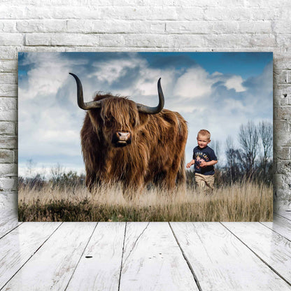 Schotse hooglander - Unieke Foto