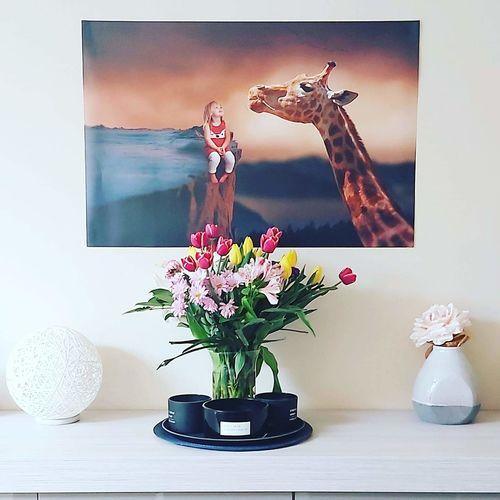 Etende giraffe - Unieke Foto