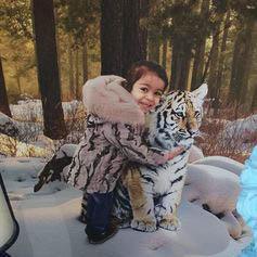 Jonge tijger - Unieke Foto